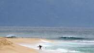 Surfer's leg 'severed at knee' in Hawaii shark attack