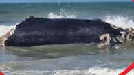 Warning after shock find on popular beach