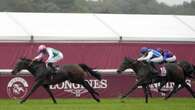 Late entry Bluestocking wins Prix de l'Arc de Triomphe