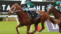Stay Inside wins trial despite an early mishap