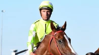 Top jockey shut out of Queensland after doctor visit