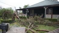 Chaos as storm rips trees, roofs, fences