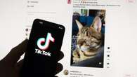 TikTok warns of broader consequences if US ban allowed