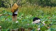 Pilot dead after crash into croc-infested dam