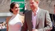 Prince Harry and Duchess Meghan's wildfire relief efforts