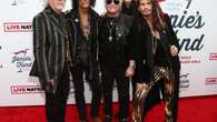 Aerosmith's Tom Hamilton says the rock band could 'do something' in the future if frontman Steven Tyler so desires