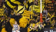 Green light for crowds at MCG