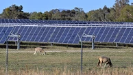Sunny outlook: big solar farms given tick by neighbours