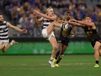 Cats coach plays down returning star's meeting