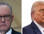 Albo tight-lipped on crucial Trump meeting