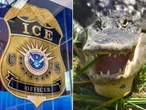 Unusual building plan for alligator infested swamp unveiled