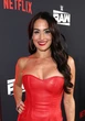 Nikki Garcia believes she was seen as 'villian' in Artem Chigvintsev divorce