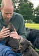 Royals celebrate Prince William's birthday with new photo