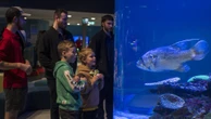 New turtle rehab space unveiled after major transformation