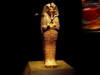 Ancient Eyptian mummy fungus could be secret to powerful new cancer drug