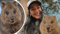 Katy Perry snaps selfie with Quokka on Rotto