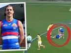 WA Dogs recruit concussed in sickening clash in VFL