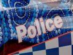 Teen charged after cops pelted, rammed