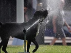 Warnings as UK bakes in the first heat wave of 2025