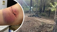 Perth Now exclusivePolice probe sinister wire trap set on popular bush track