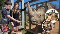 Perth Now exclusiveHow you can get your hands on free tickets to Perth Zoo