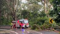 NSW residents prepare for severe weather, wild winds