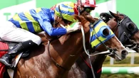 Ipswich tips: Playboy certainly has appeal