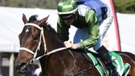 Watch: Boom stayer destroys rivals by 10 lengths