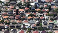 Free trees to green up and cool Sydney
