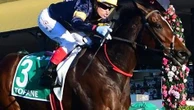Racing to continue in Queensland without spectators