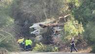 Traffic chaos as truck crash causes tree to block road