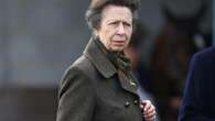 Princess Anne admits she remembers 'nothing' about her horse accident