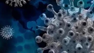 Long Covid brain fog could be down to leaky blood vessels