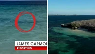 Another shark spotted in Jurien Bay after horrific attack