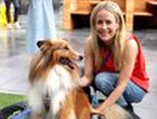 Rewards of working like dogs at corporate playground