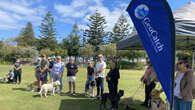 Pet owners urged to train dogs to protect possums