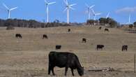 Giant wind farm that fanned protests gets green light