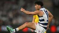 Cats bounce back, finish too strong for North Melbourne