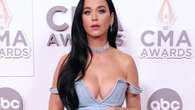 Katy Perry wants to 'celebrate' her breasts