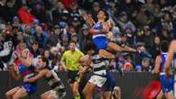 Bulldogs beat Cats in the wet to continue finals push