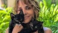 Halle Berry strips and covers chest with two of her cats to mark ‘Catwoman’ 20th anniversary