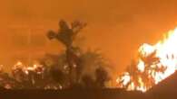 Aussies lose everything after wild Bali fire