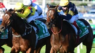 Williams picks favourite mare to wear Tiara