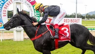 Sunshine Coast tips: Stocks surge for Sydney raider