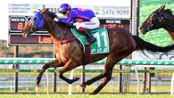 Sunshine Coast races off: Last winter carnival day postponed