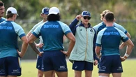 Schmidt's got smarts: All Blacks back Wallabies coach