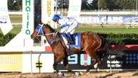 Bush marvel scores 45th win at start No.111