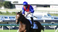 Why star Sydney hoops will skip Victorian spring carnival