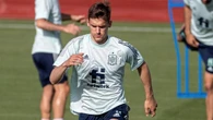 More positive COVID-19 tests before Euros