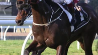 Joe to come Up Trumpz again at Wagga on Monday